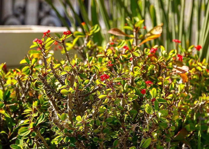 Creta Elena Ξενοδοχείο με διαμερίσματα