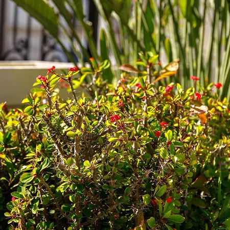 Creta Elena Aparthotel