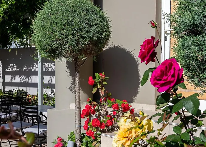 Creta Elena חאניה